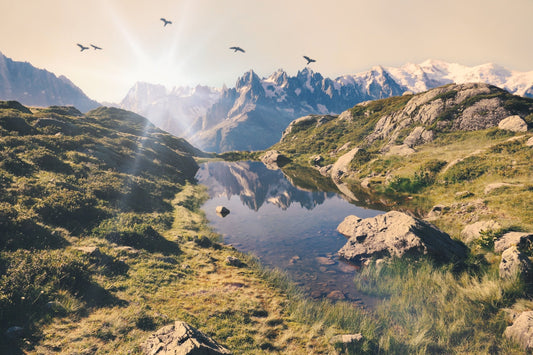 Tout savoir sur l’UTMB, la course reine de l’ultra-trail